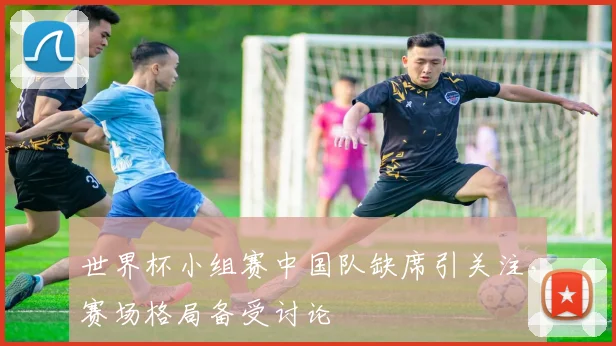 世界杯小组赛中国队缺席引关注,赛场格局备受讨论