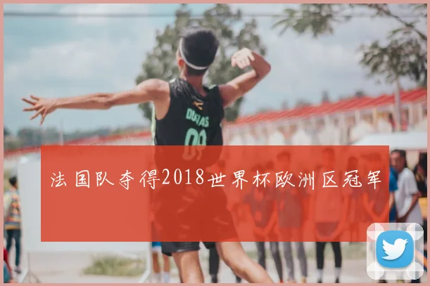 法国队夺得2018世界杯欧洲区冠军