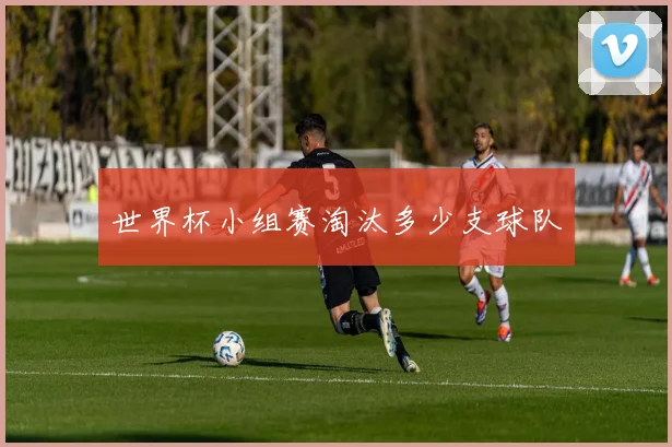 世界杯小组赛淘汰多少支球队