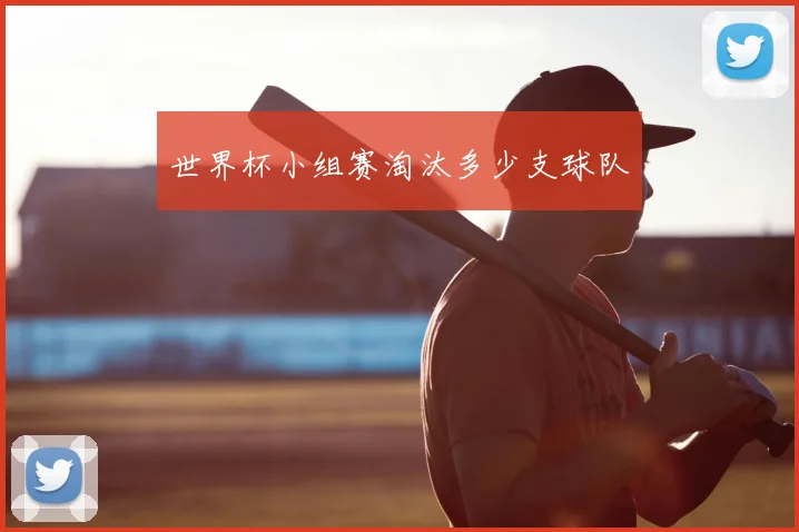 世界杯小组赛淘汰多少支球队