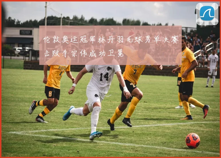 伦敦奥运冠军林丹羽毛球男单决赛击败李宗伟成功卫冕