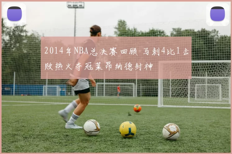 2014年NBA总决赛回顾 马刺4比1击败热火夺冠莱昂纳德封神
