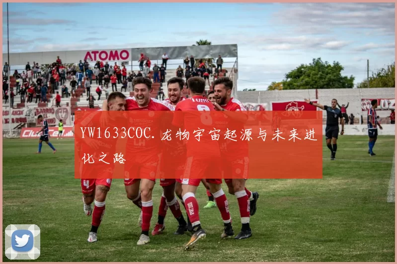 YW1633COC.龙物宇宙起源与未来进化之路