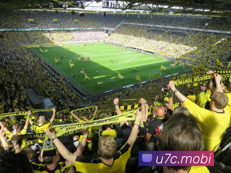 kaiyun官网登录服务体系